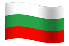 BG flag