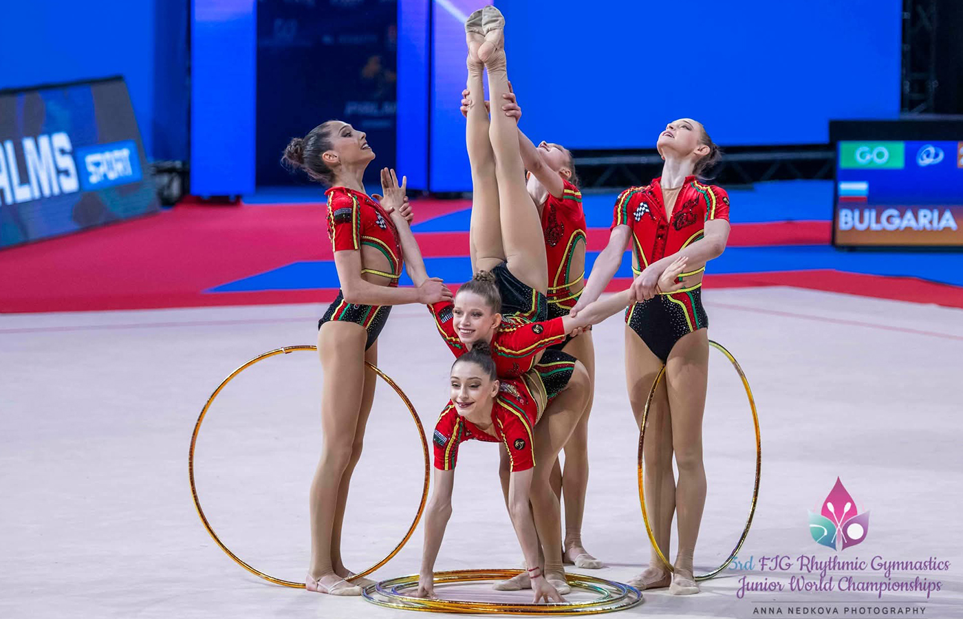 Спорт